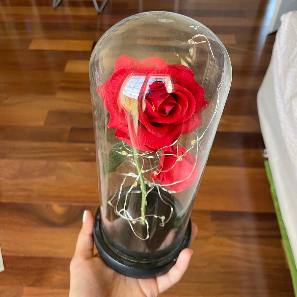 Rose Light in glass dome (beauty and the beast)
